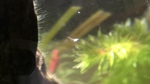 いのち